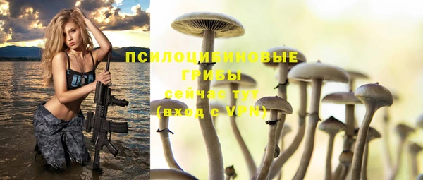 метадон Медвежьегорск
