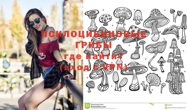 прущие крисы Мегион