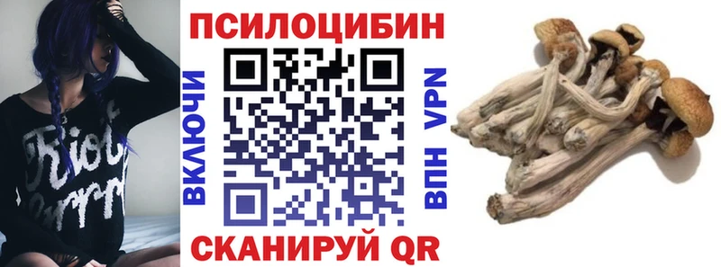 закладки  Тутаев  гидра   Галлюциногенные грибы MAGIC MUSHROOMS 