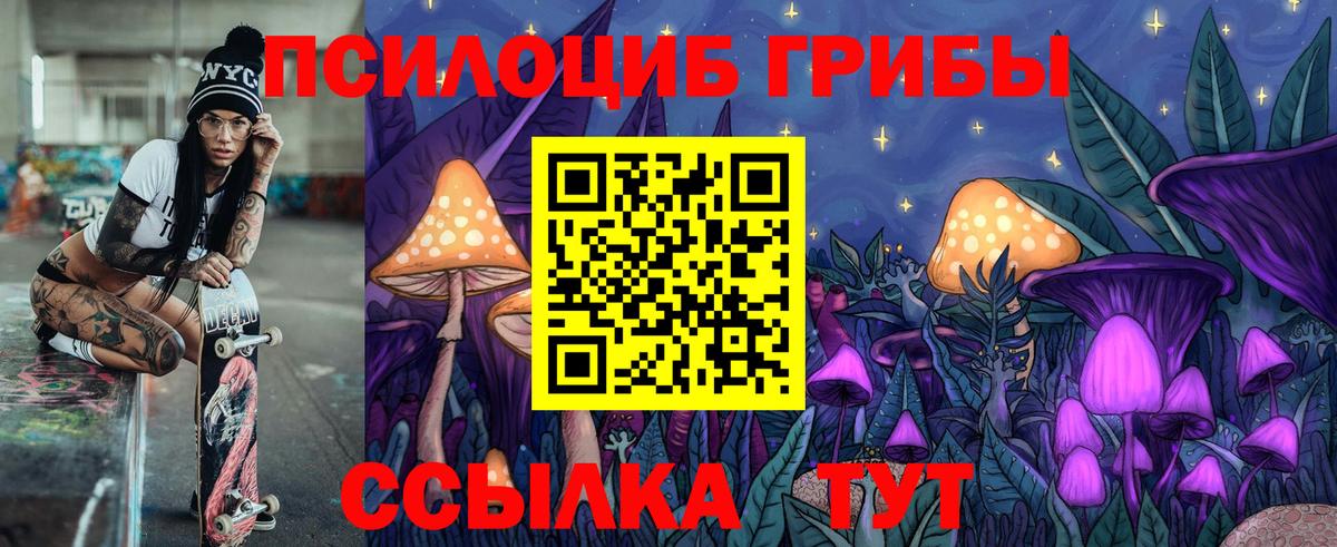Псилоцибиновые грибы Cubensis  Тутаев 