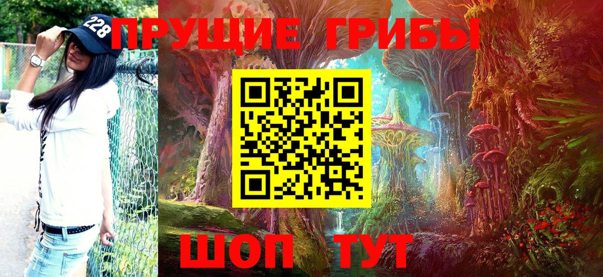 Псилоцибиновые грибы прущие грибы  Галлюциногенные грибы Psilocybe  Вход с VPN  Тутаев 