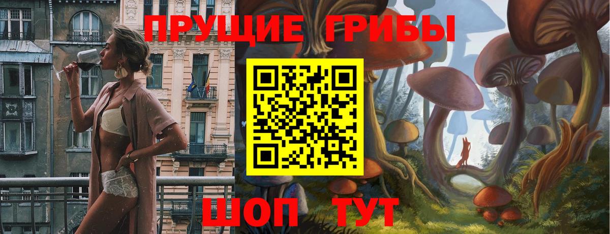 Псилоцибиновые грибы MAGIC MUSHROOMS Тутаев