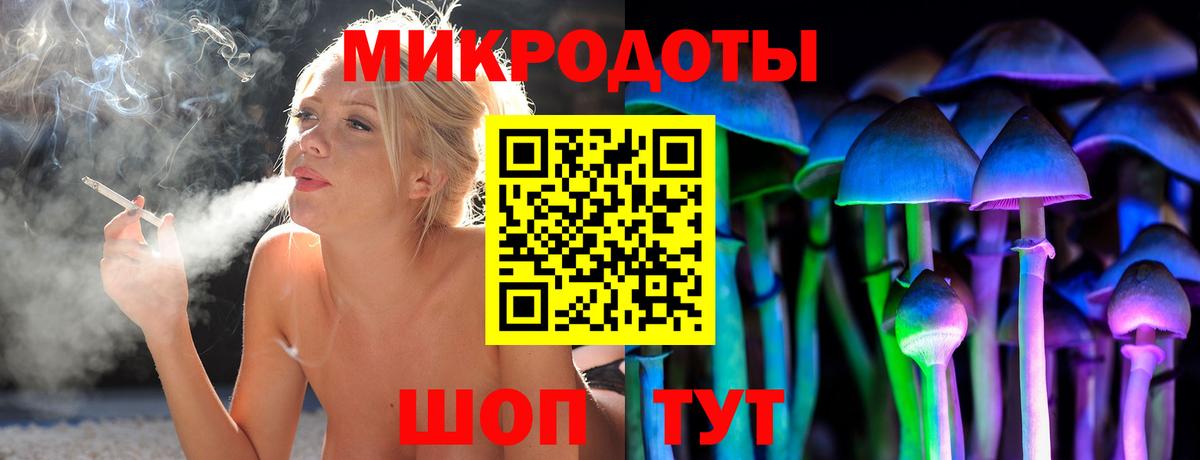Галлюциногенные грибы Psilocybe Тутаев
